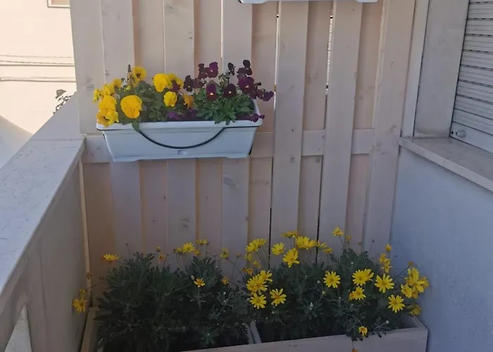 Konukevi Greta's House Chieti